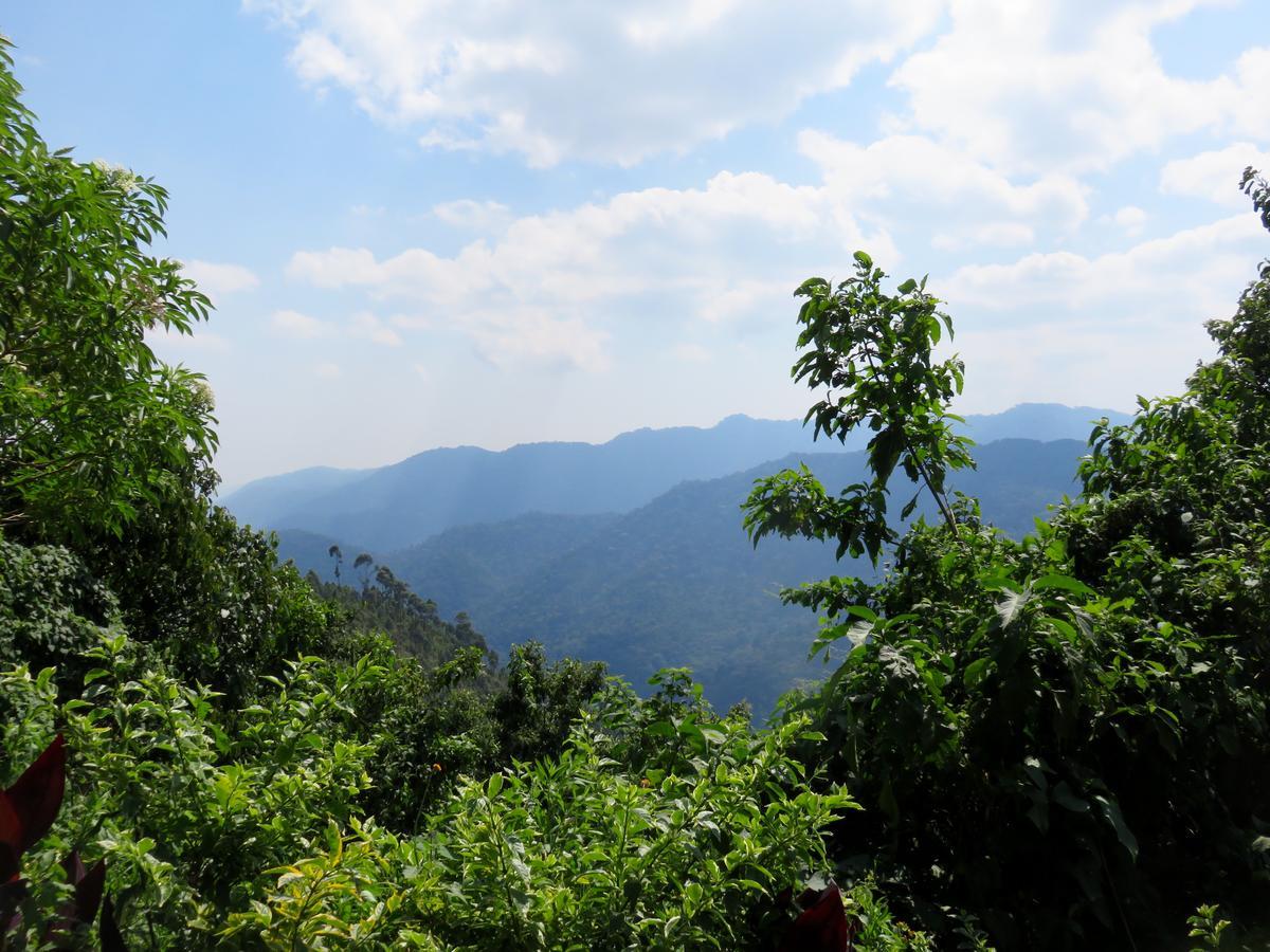 Nkuringo Bwindi Gorilla Lodge Exteriör bild