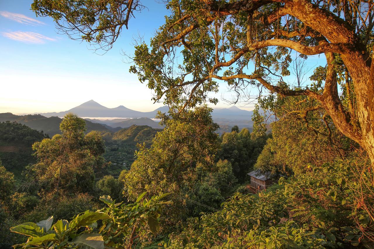 Nkuringo Bwindi Gorilla Lodge Exteriör bild