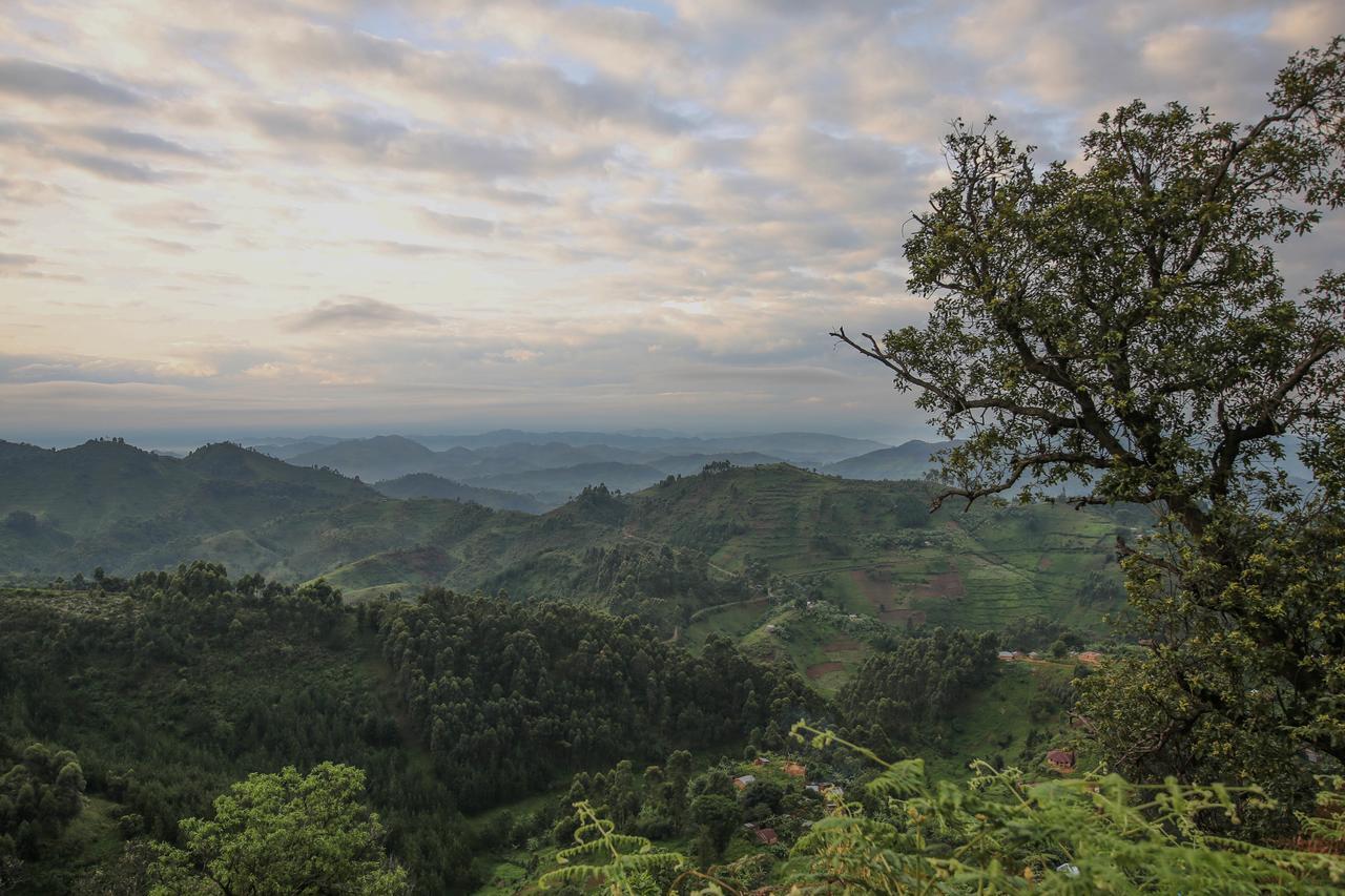 Nkuringo Bwindi Gorilla Lodge Exteriör bild
