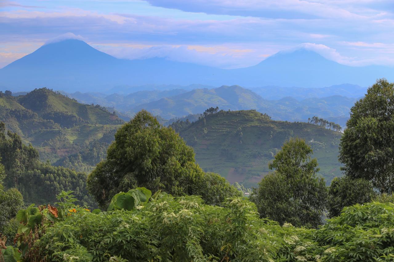 Nkuringo Bwindi Gorilla Lodge Exteriör bild